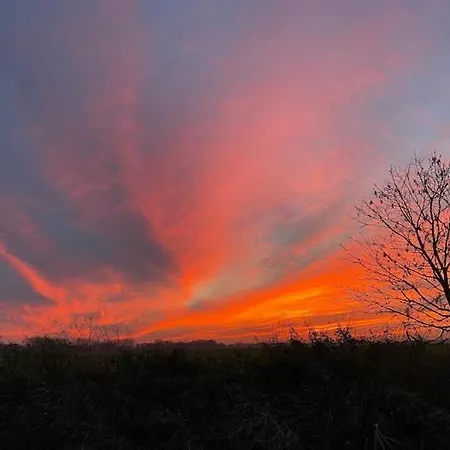 アパート An Der Elde