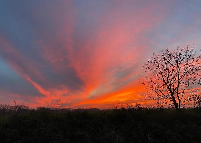 아파트 An Der Elde